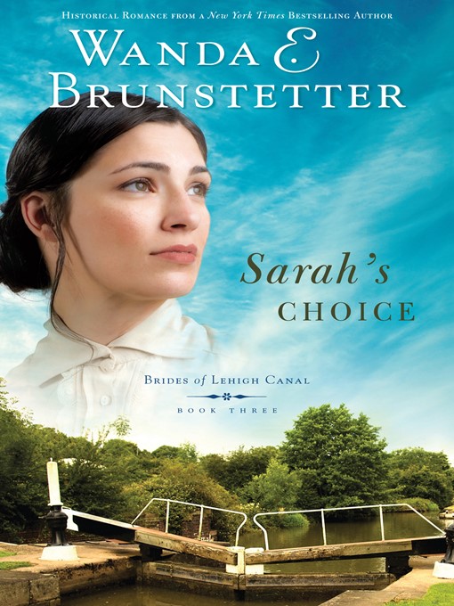 Title details for Sarah's Choice by Wanda E. Brunstetter - Wait list